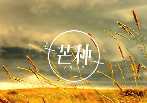 芒種丨你在歲月奔忙的模樣，值得被大地犒賞