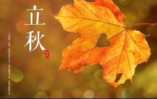 夏未盡，秋已至