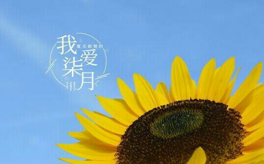 流光已過(guò)，再見(jiàn)七月