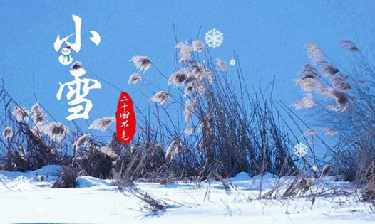今日小雪丨天地初寒，愿歲月安暖
